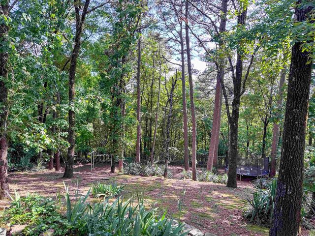 12501 Southridge Drive, Little Rock, AR 72212
