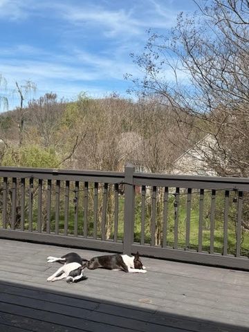 3006 Coral Bell Ln, Franklin, TN 37067