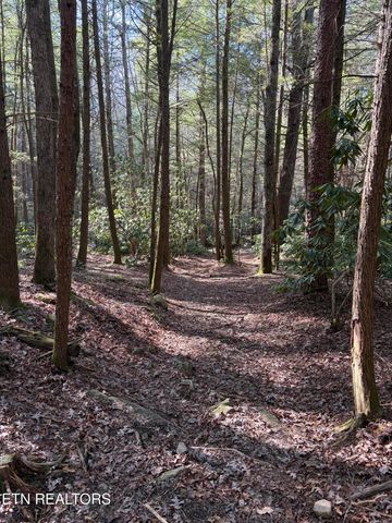 504 Acorn Lane, Jamestown, TN 38556