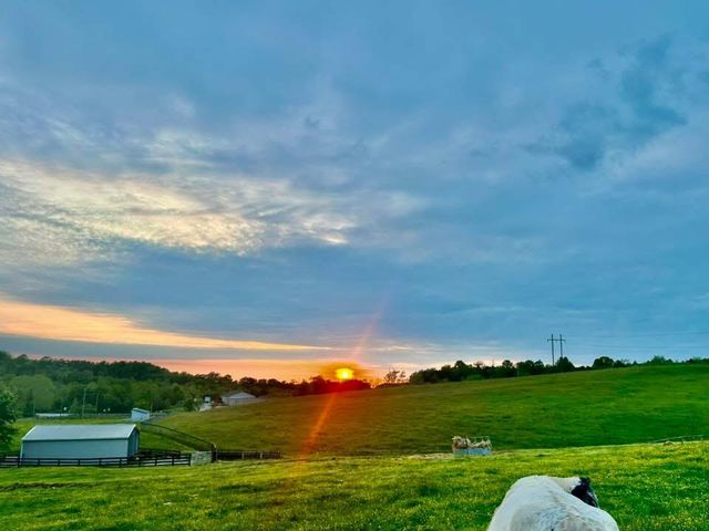 154-B Double Culvert Road, Georgetown, KY 40324