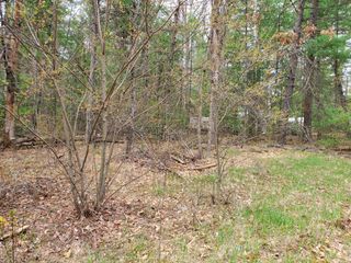 0 Silver Creek Drive, Prescott, MI 48756