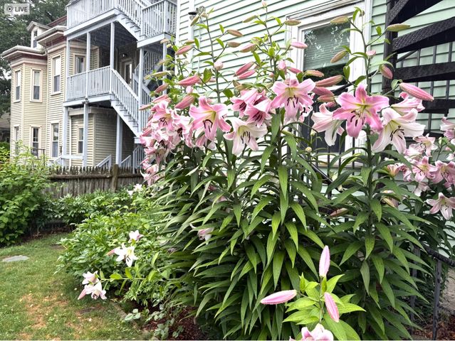 9 Peabody St 9, Newton, MA 02458