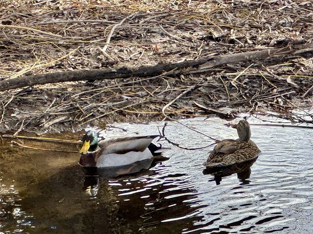 17 W Fieldview, Bozeman, MT 59715