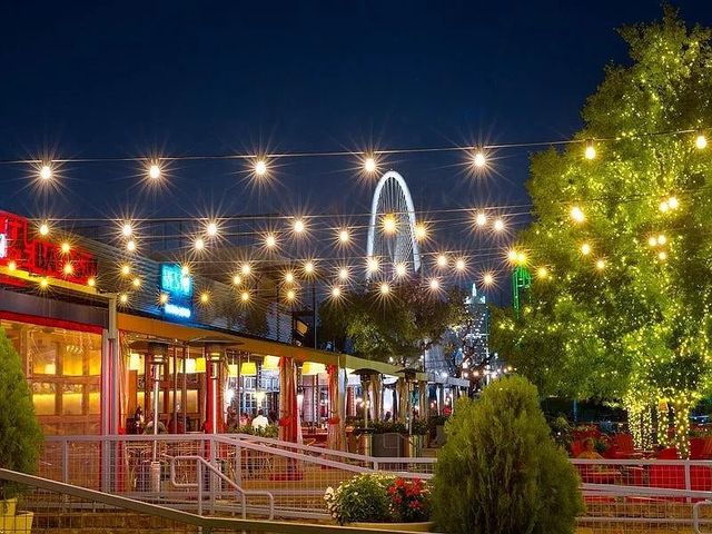 381 E Greenbriar 1402, Dallas, TX 75203