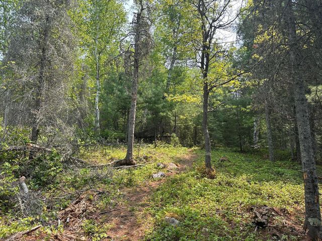 3547 Norway Lane, Ely, MN 55731