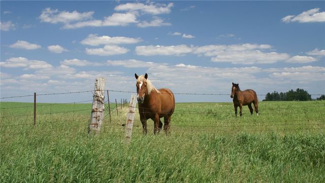 6401 Scenic View Trail Trail, Bryan, TX 77808