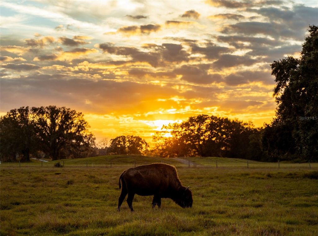 Image 17 of property listing at 3200 RIVER RANCH BOULEVARD 225, River Ranch, FL 33867