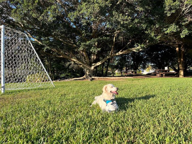 700 Verona Ct, Weston, FL 33326