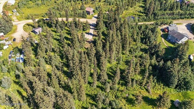 4825 Diamond Creek Place, Homer, AK 99603