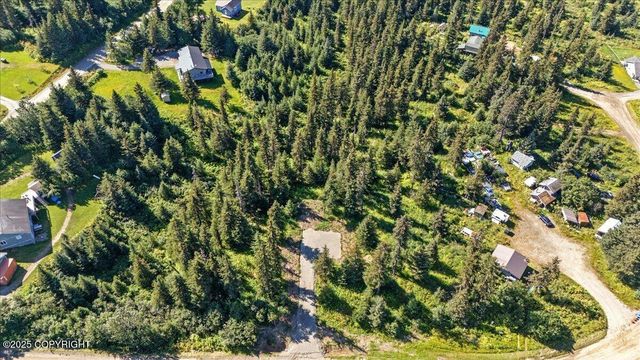 4825 Diamond Creek Place, Homer, AK 99603