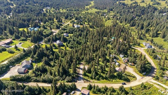 4825 Diamond Creek Place, Homer, AK 99603