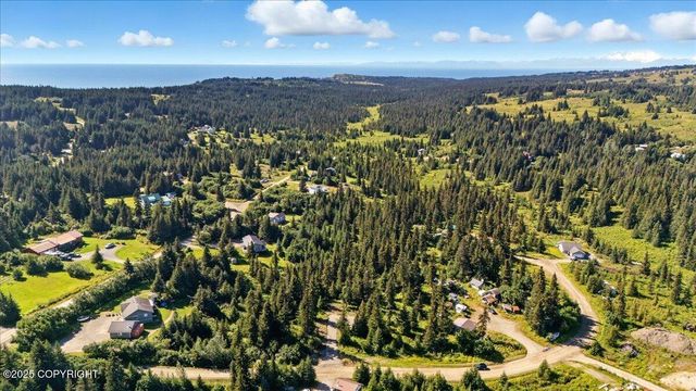 4825 Diamond Creek Place, Homer, AK 99603