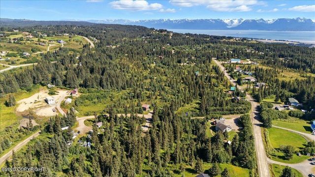 4825 Diamond Creek Place, Homer, AK 99603