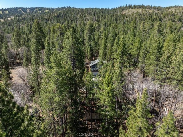 41490 Oak Street, Big Bear Lake, CA 92315