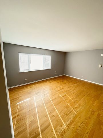 10425 Natoma Avenue 10, Chicago Ridge, IL 60415