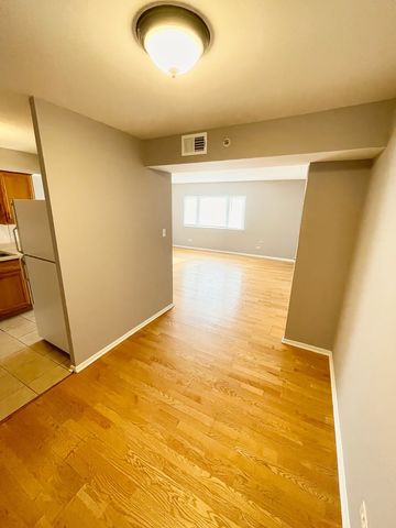 10425 Natoma Avenue 10, Chicago Ridge, IL 60415