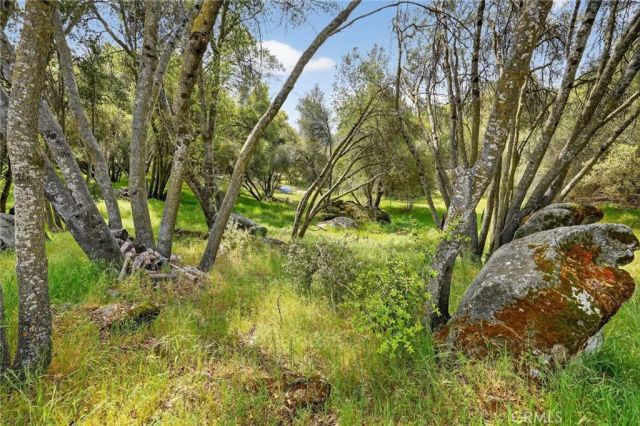 40790 Highway 49, Oakhurst, CA 93644