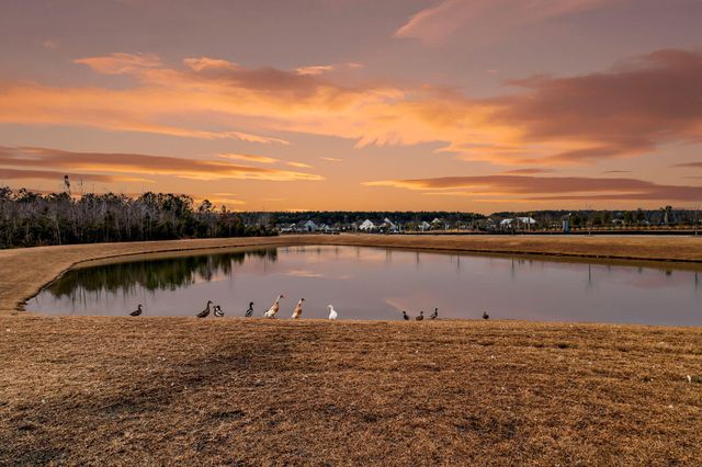 268 Witherspoon Street, Summerville, SC 29486