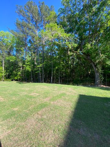3136 Vanessa Lynne Lane, Johns Island, SC 29455