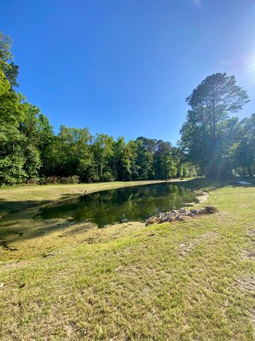 3136 Vanessa Lynne Lane, Johns Island, SC 29455