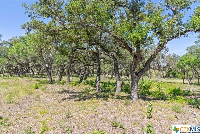 Tract 12 LewDele Lane, Blanco, TX 78671