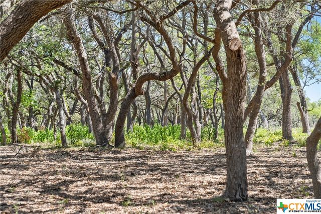 Tract 12 LewDele Lane, Blanco, TX 78671