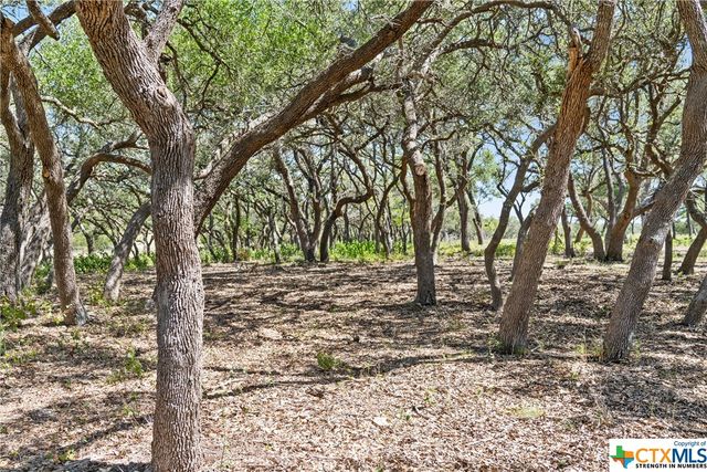 Tract 12 LewDele Lane, Blanco, TX 78671