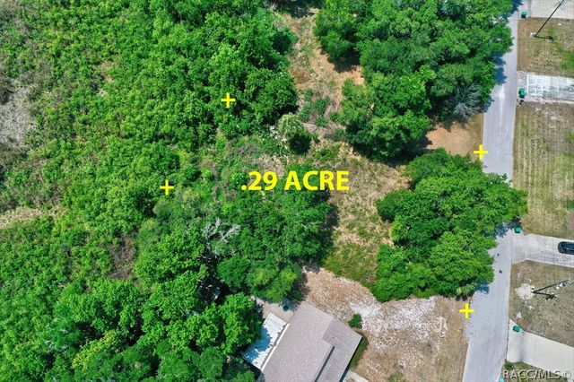 9390 E Mistwood Drive, Inverness, FL 34450