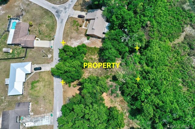 9390 E Mistwood Drive, Inverness, FL 34450