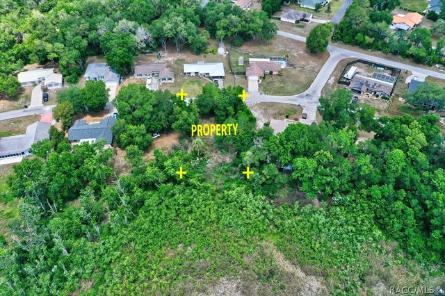 9390 E Mistwood Drive, Inverness, FL 34450
