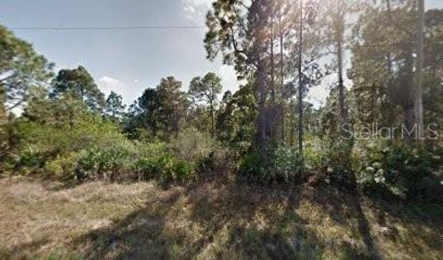 1118 COVE STREET E, Lehigh Acres, FL 33974