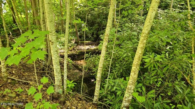 4010 Forest Trail Drive, Sevierville, TN 37876
