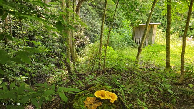 4010 Forest Trail Drive, Sevierville, TN 37876