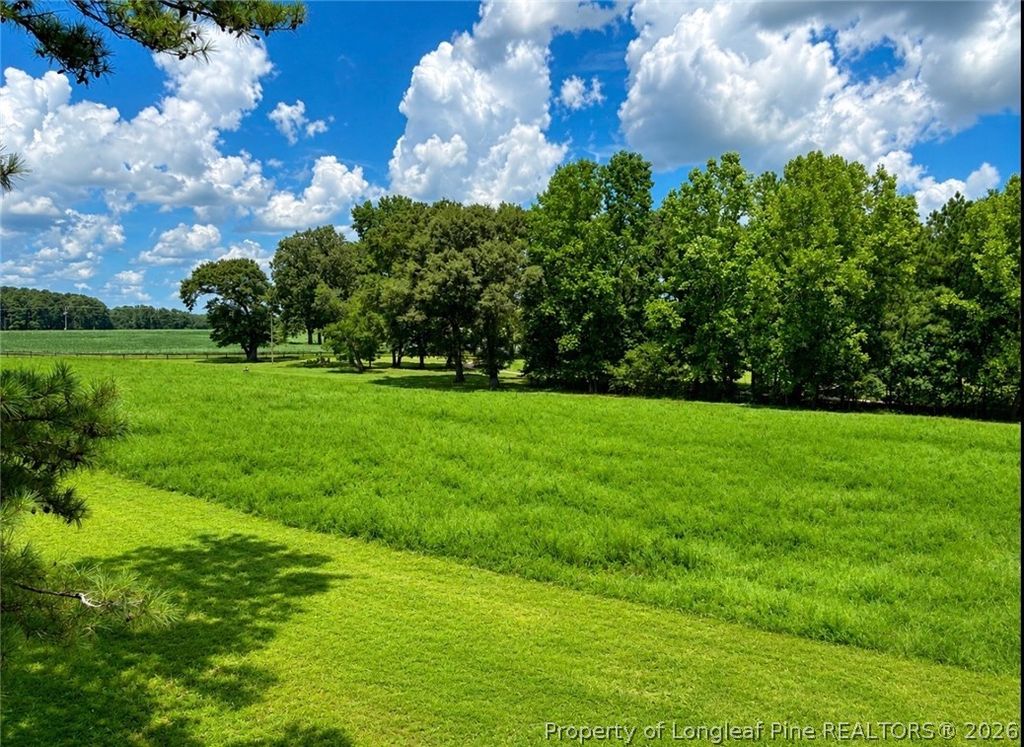 Lot 2 1870 Mccormick Road, Sanford, NC 27332 — photo 2