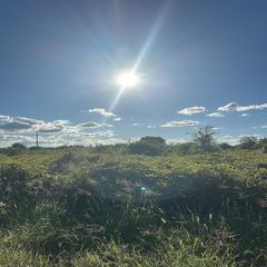 1503 Irving Ave, Lehigh Acres, FL 33972