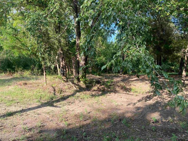 1087 FM 23 W, Rusk, TX 75785