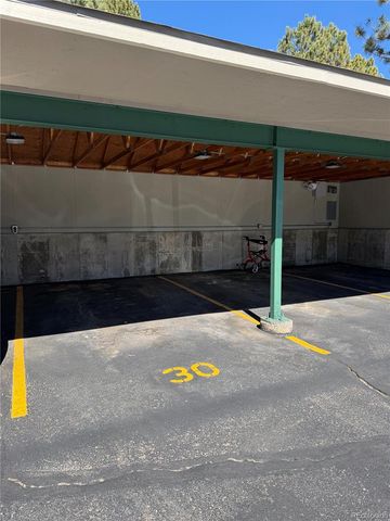 31819 Rocky Village Drive 321, Evergreen, CO 80439