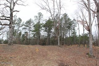 Louise Road, Byhalia, MS 38611
