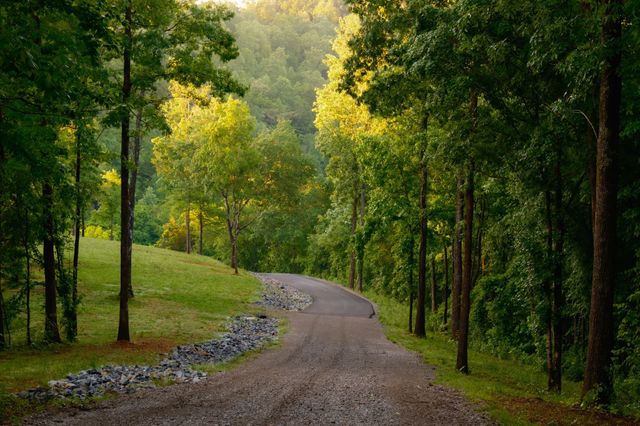 7556 Caney Fork Rd, Fairview, TN 37062