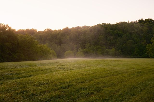 7556 Caney Fork Rd, Fairview, TN 37062