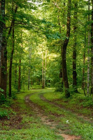7556 Caney Fork Rd, Fairview, TN 37062