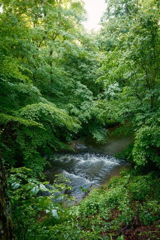 7556 Caney Fork Rd, Fairview, TN 37062