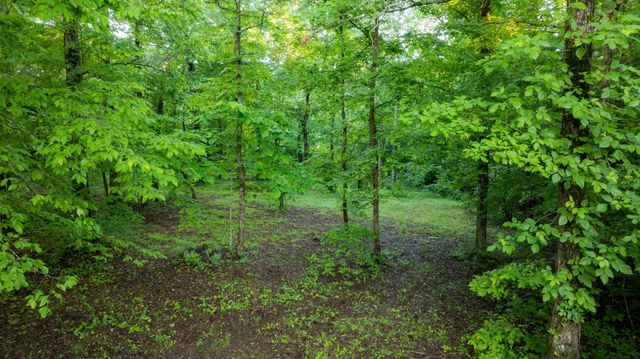 7556 Caney Fork Rd, Fairview, TN 37062