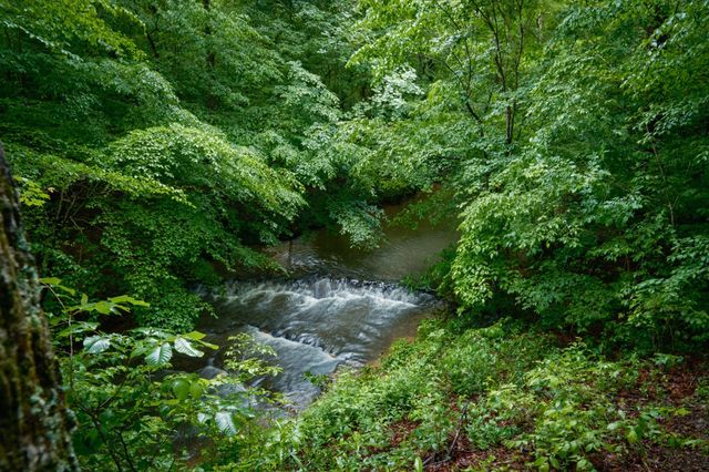 7556 Caney Fork Rd, Fairview, TN 37062