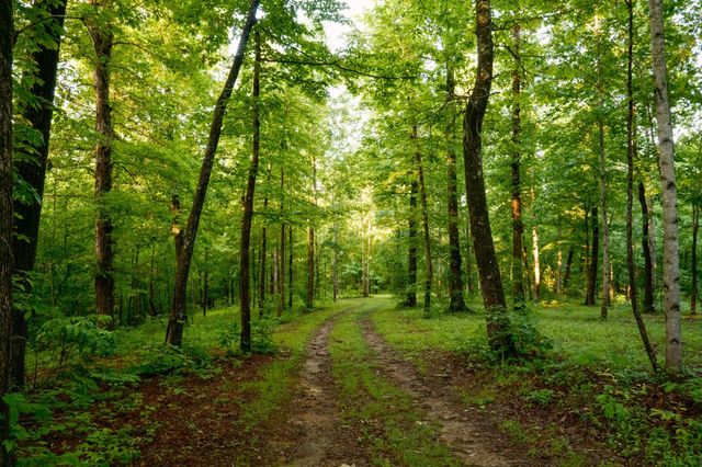 7556 Caney Fork Rd, Fairview, TN 37062
