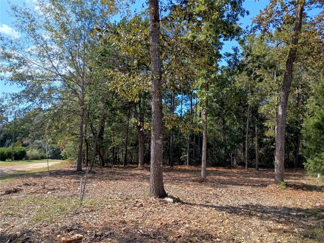 240 Sir Pellias Drive, Ivanhoe, TX 75979