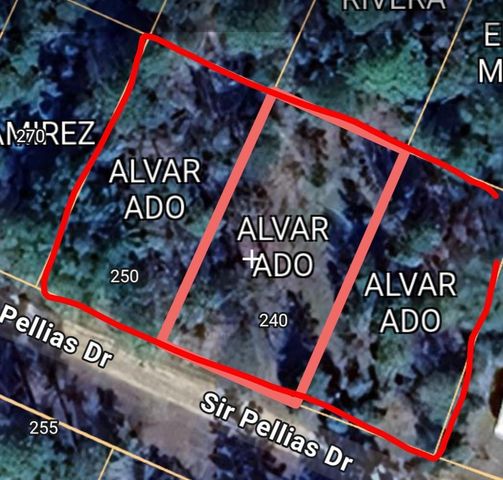 240 Sir Pellias Drive, Ivanhoe, TX 75979