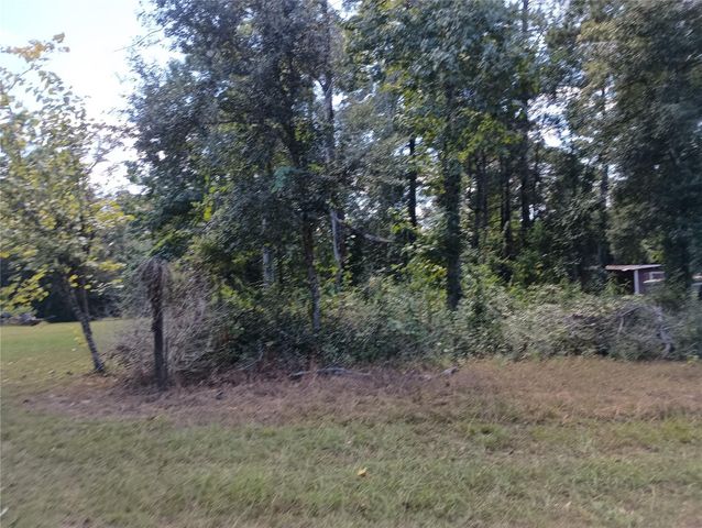 240 Sir Pellias Drive, Ivanhoe, TX 75979