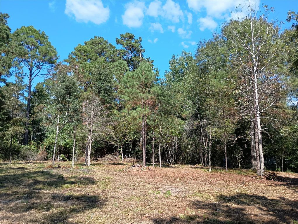 240 Sir Pellias Drive, Ivanhoe, TX 75979