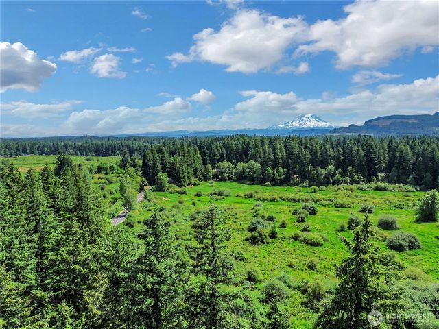 17642 Vine Lane SE, Yelm, WA 98597